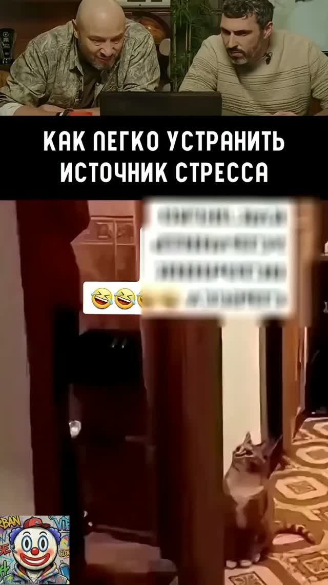 Гениальная кошка!