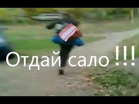 Отдай сало