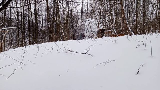 Муж увез в глухой лес и оставил одну!!!