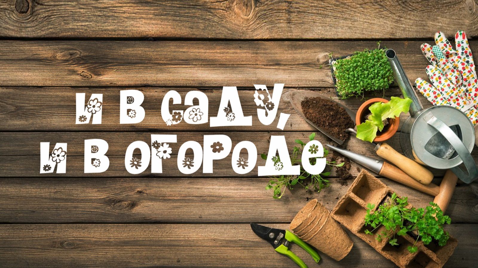 И в саду и в огороде - 28.09.2026 Посадка чеснока