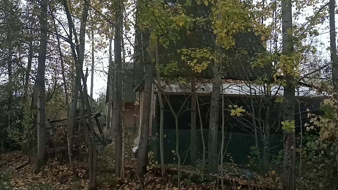 Листопад