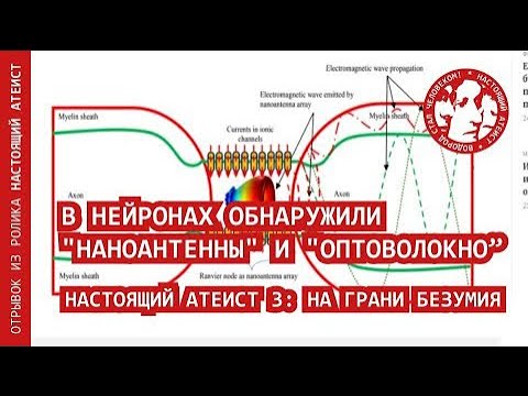 В нейронах обнаружили наноантенны и оптоволокно | НАСТОЯЩИЙ АТЕИСТ 3