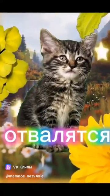 Везёт