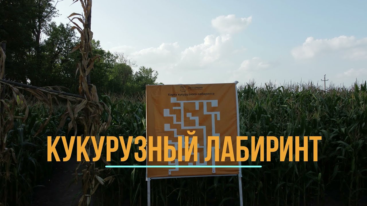 Кукурузный лабиринт Бахча Бородача