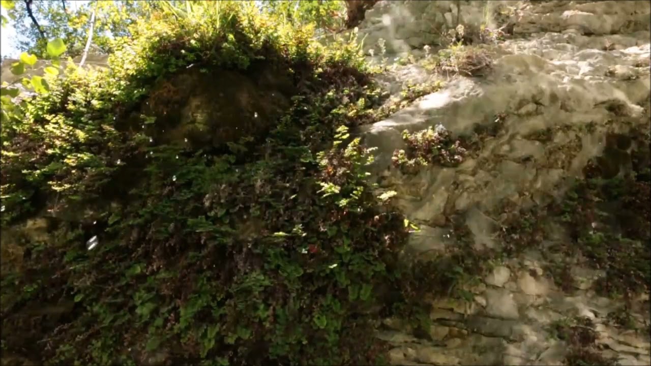 Stream, Water Glare, Falling Drops - Звук ручья, падающие капли и блики воды
