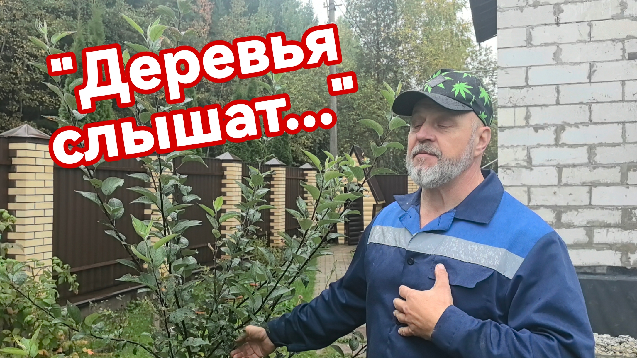 Игорек, яблоня и груша: трое в саду #влог #яблоня #груша