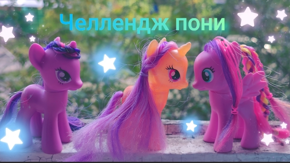 Челлендж пони с водой, высотой и колючим растением ✨