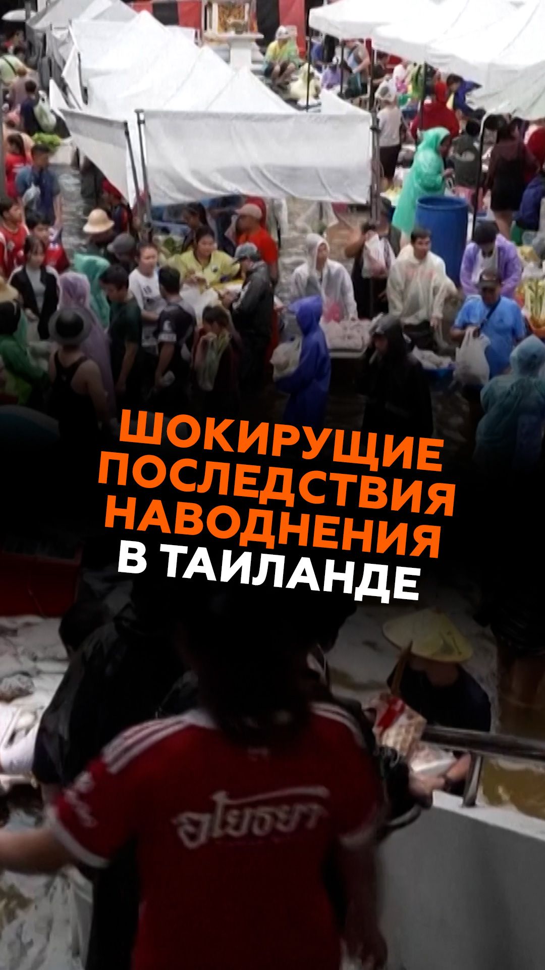 Последствия наводнения в Таиланде таиланд новости наводнение бангкок