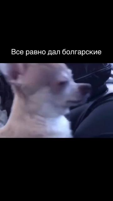 Всё равно дал болгарские