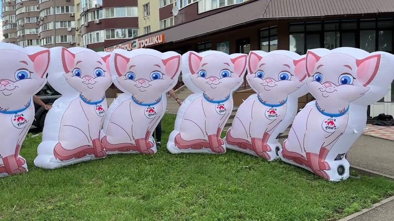 Надувные фигуры коты