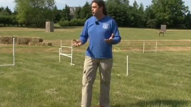 Michael Ellis' Philosophy Of Dog Training