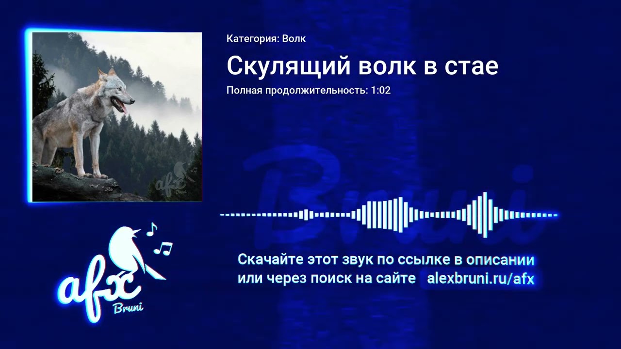 Звук: Скулящий волк в стае