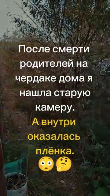 На чердаке родительского дома я нашла старую камеру. А внутри оказалась плёнка😳