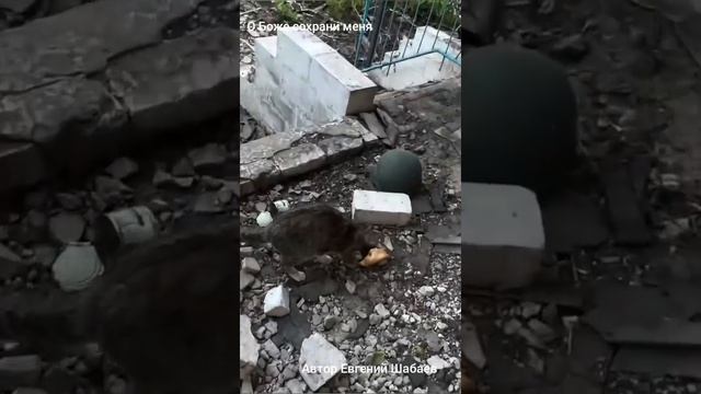 О Боже сохрани меня... Автор Евгений Шабаев