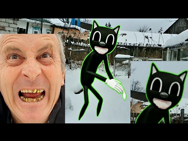Картун Кэт преследует в реальной жизни Cartoon Cat In Real Life