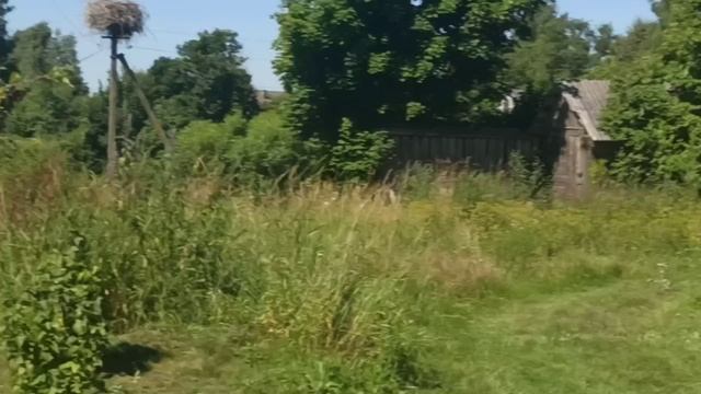 Влёсно ТВ. Квартирный вопрос 18.07.26