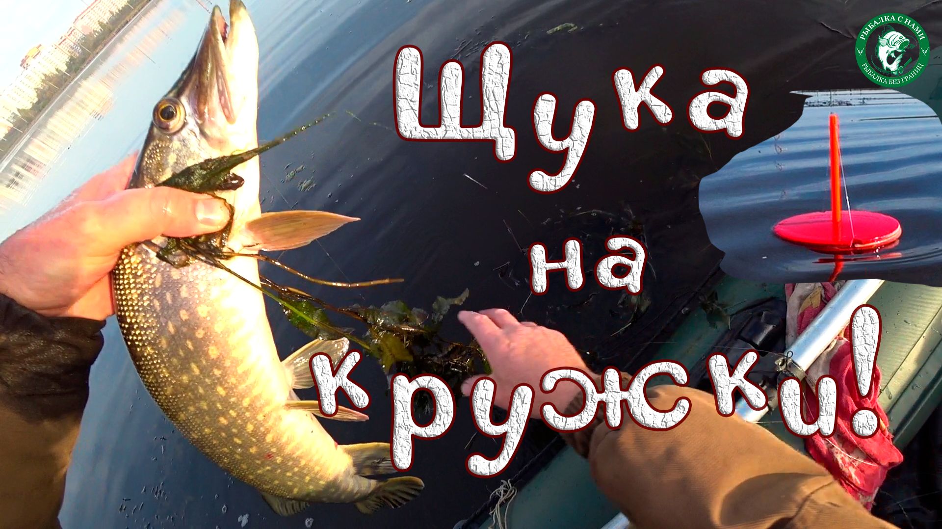 ЩУКИ ГОНЯЮТ МЕНЯ ПО ПРУДУ РЫБАЛКА С ЛОДКИ НА КРУЖКИ И СПИННИНГ В СЕНТЯБРЕ! ЖИВЕЦ ТУМАН ГОРЯЧИЙ ЧАЙ!