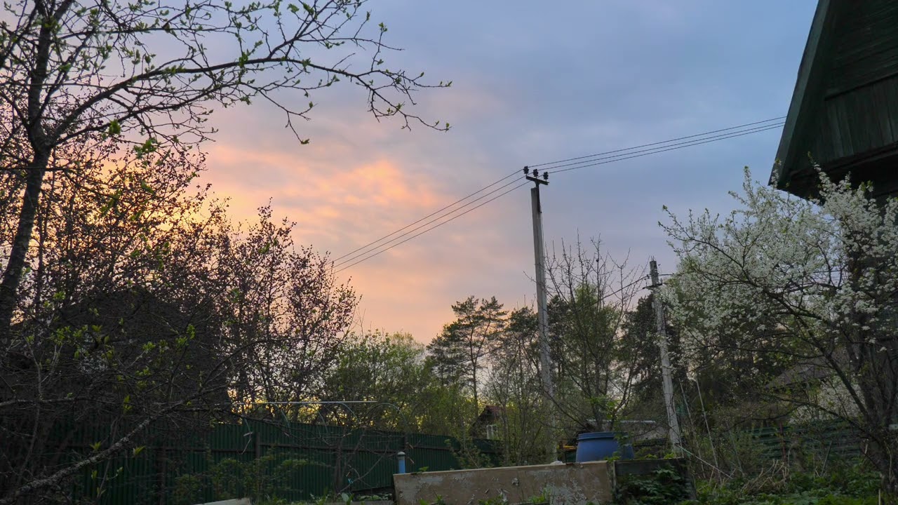 Нежный весенний закат на дачном участке 🌅🏡