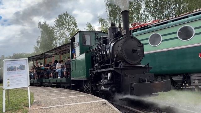 Узкоколейный паровоз в музее Лужна у Раковника / Narrow Gauge Steam Locomotive At Luzna U Rakovnika