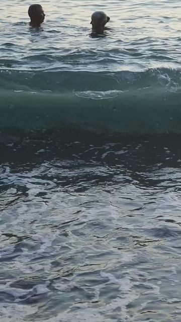 Отпуск на Черном море