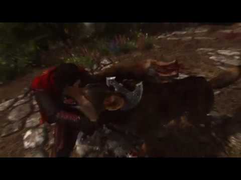 Skyrim HDT Cloaks Test