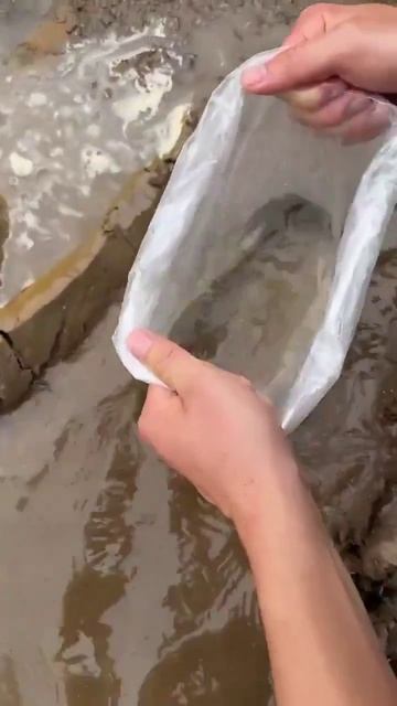 Полезный совет