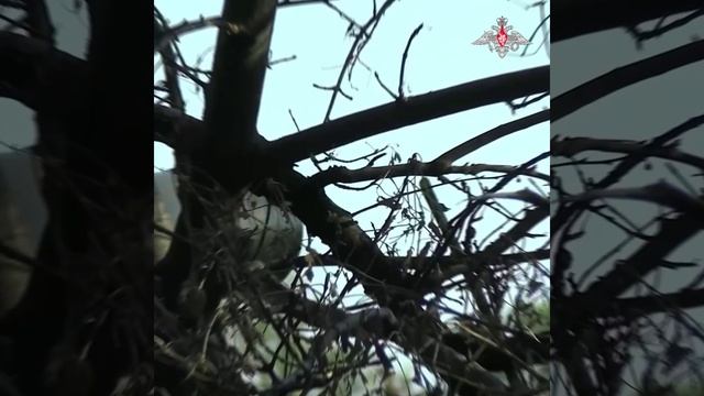Боевая работа экипажа танка Т-80БВМ ГрВ «Центр» на Добропольском направлении