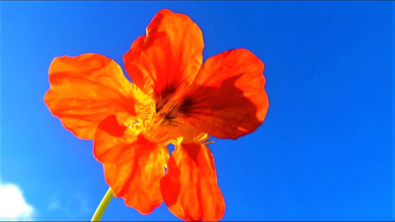 Happiness rainbow  幸福 虹  Счастье радуга