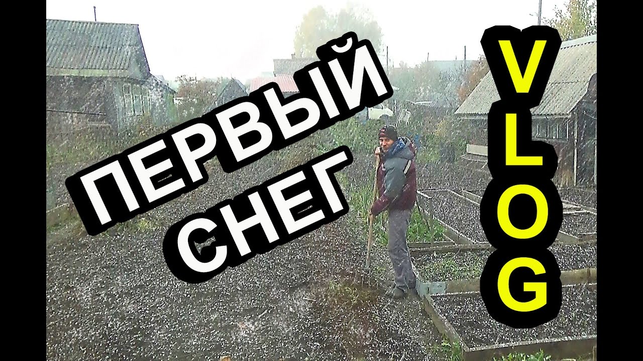 Вечер из нашей жизни/ октябрь 2016/ Первый снег!❄️⛄️❄️