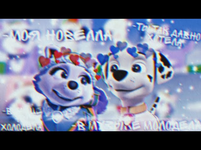 🔮💓Маршалл и Эверест💓🔮(Моя новелла)~Для Ивана Иванова~🔮💓Marshall X Everest💓🔮