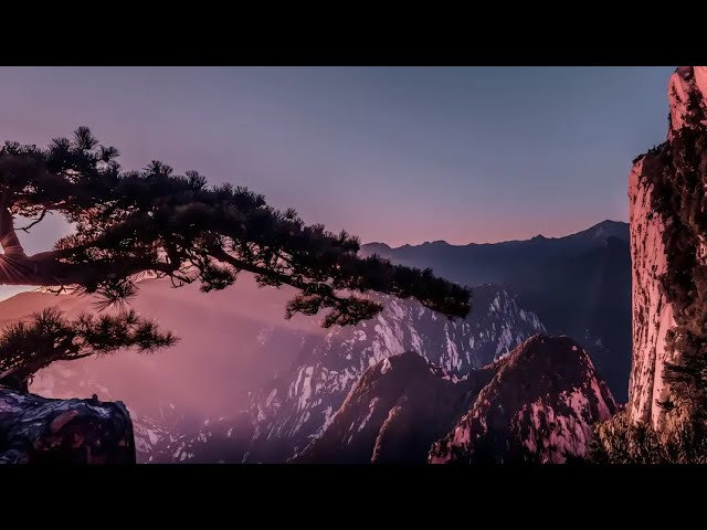 AMAN ZHU моё искусство (f3 Remix)