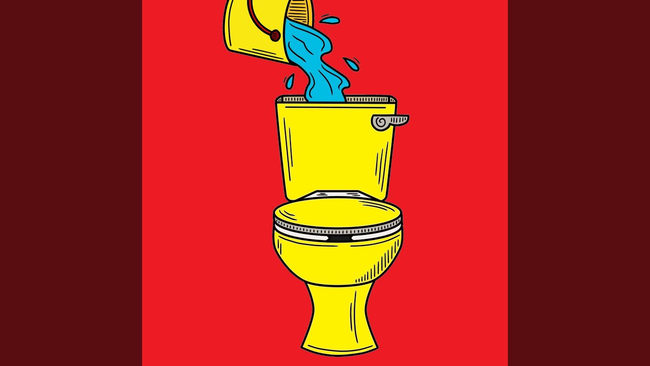 Toilet Flushing Sound For Video