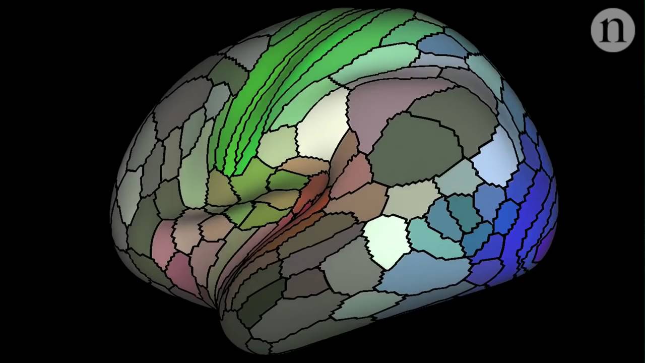 The Ultimate Brain Map