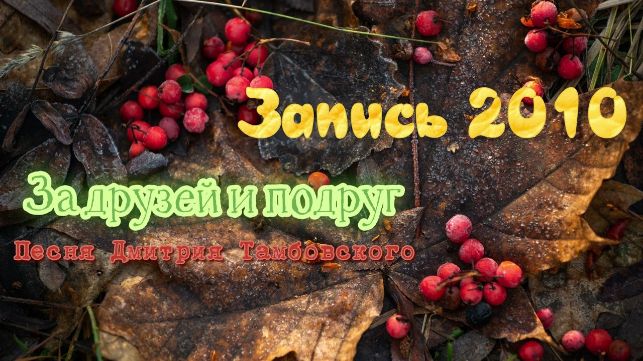Тузов Игорь За друзей и подруг запись 2010г песня Дмитрия Тамбовского
