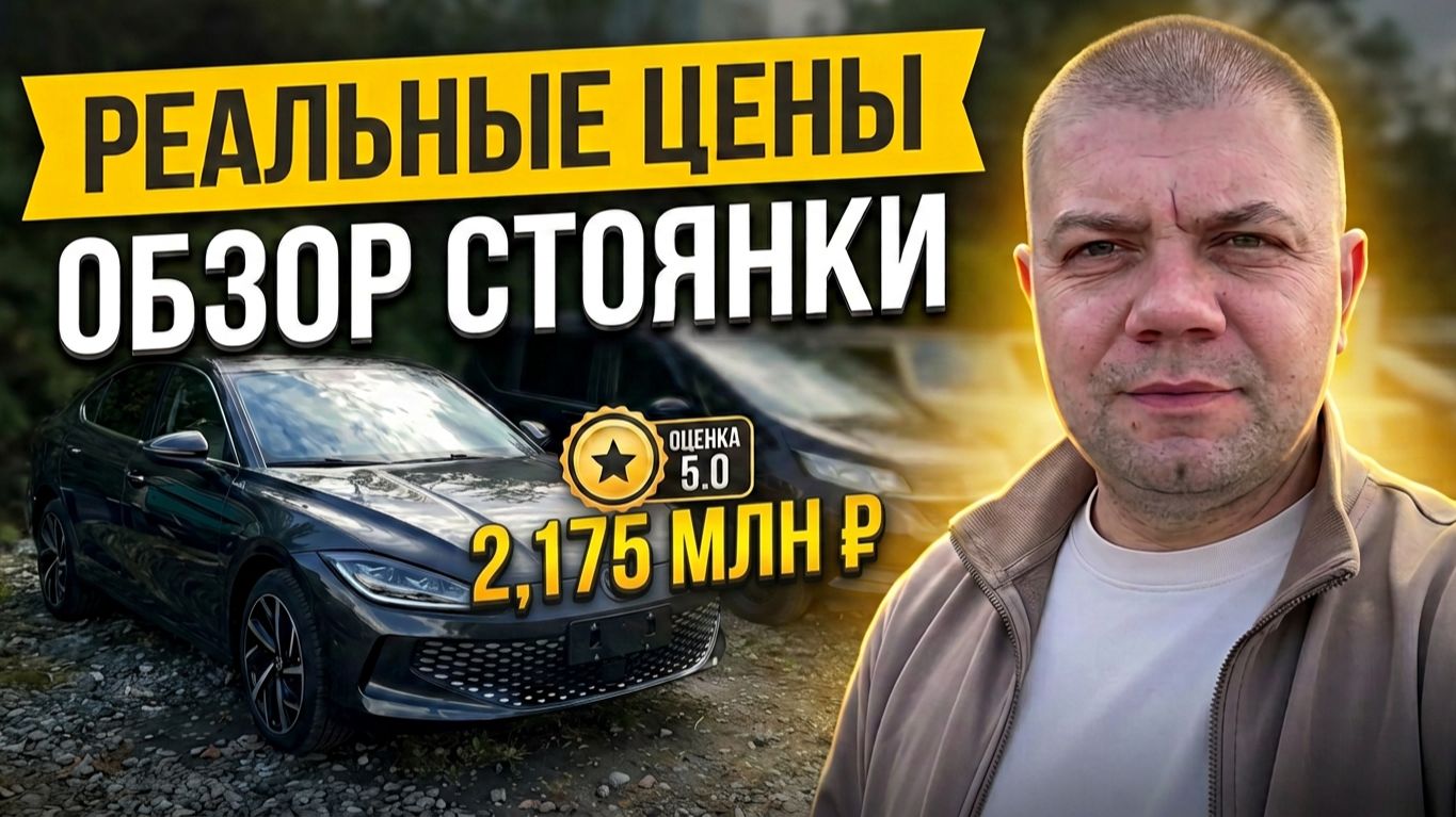 Обзор стоянки | Volkswagen Lamando | Honda Freed | Цены под ключ