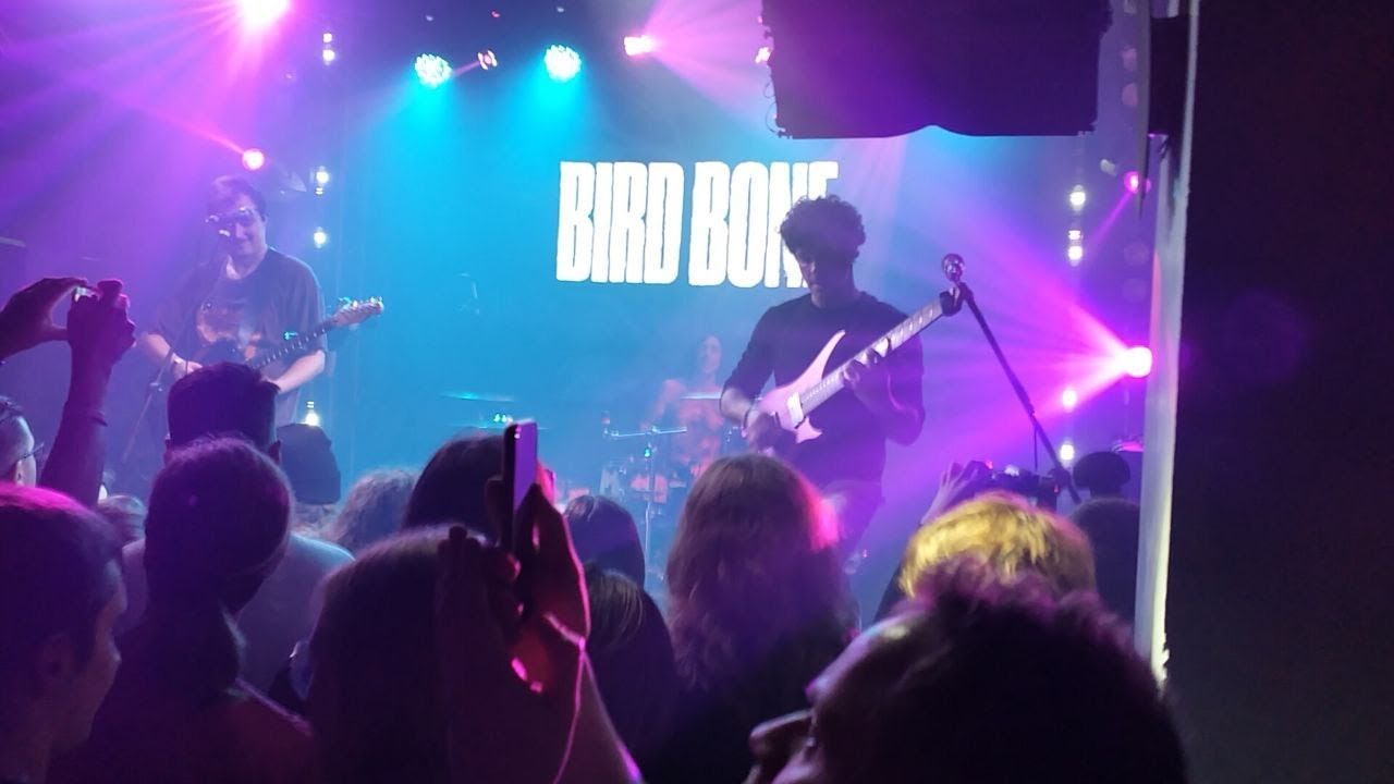 Съездили на Bird Bone и WLVS + The Barber | Eclipse 22.11.2025