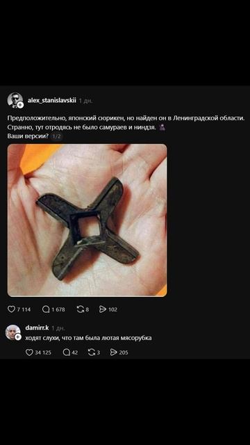 Голубь в рандомное воскресенье) Приколы