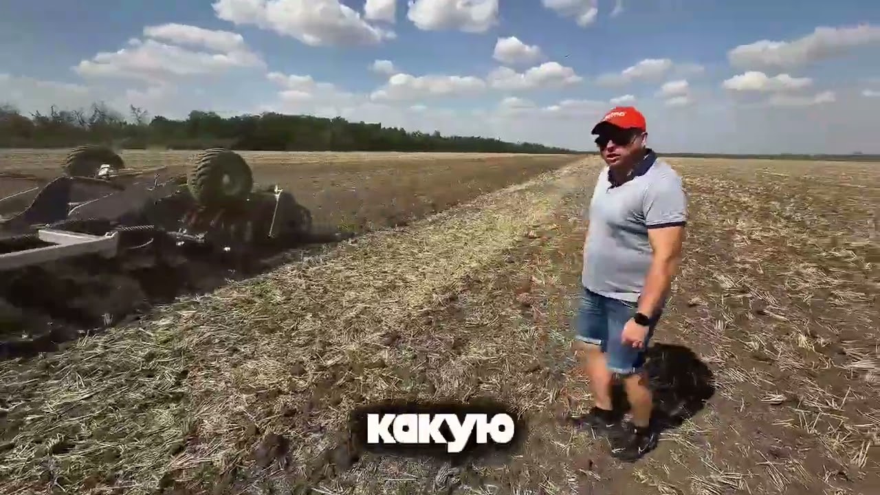 В Новоалександровском районе Ставропольского края заложили интересный опыт в крупном хозяйстве.