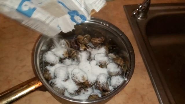 Виноградные улитки как изысканное блюдо на ужин