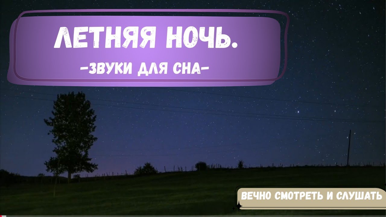 Summer Night. Fireflies And Stars. Летняя ночь. Светлячки и звёзды 🌙✨