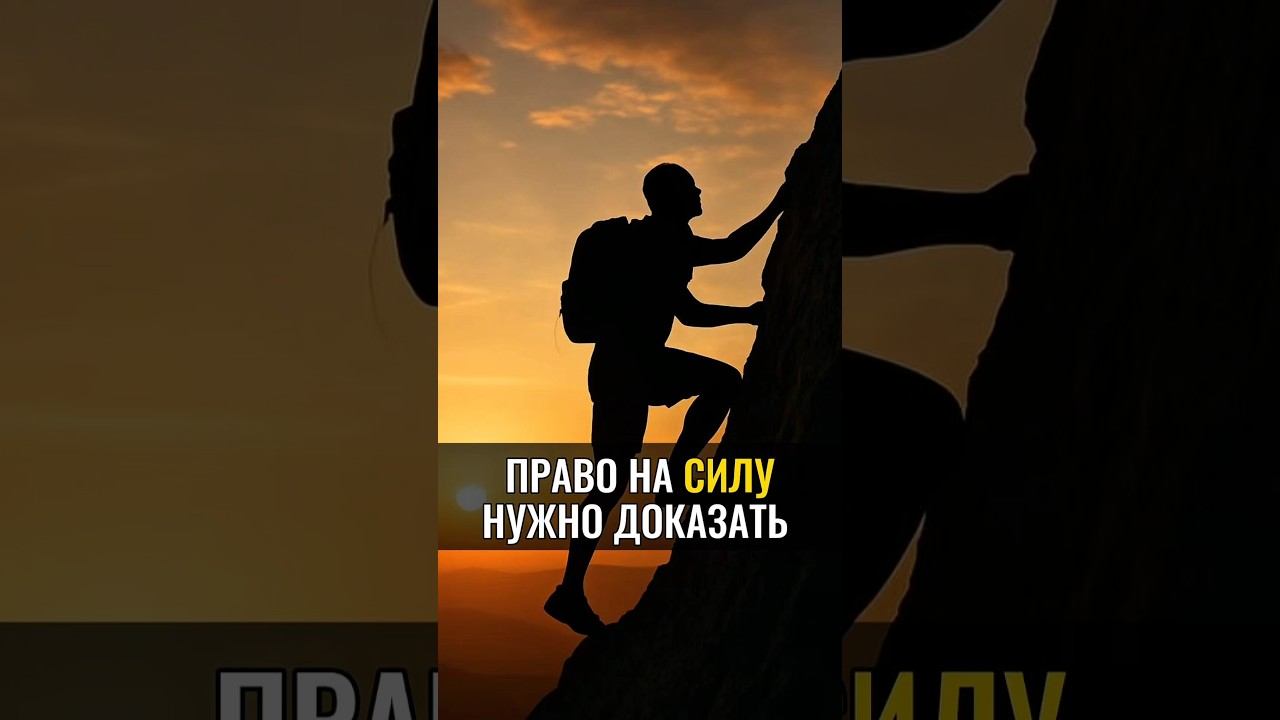 Право на силу нужно доказать #alanmamiev