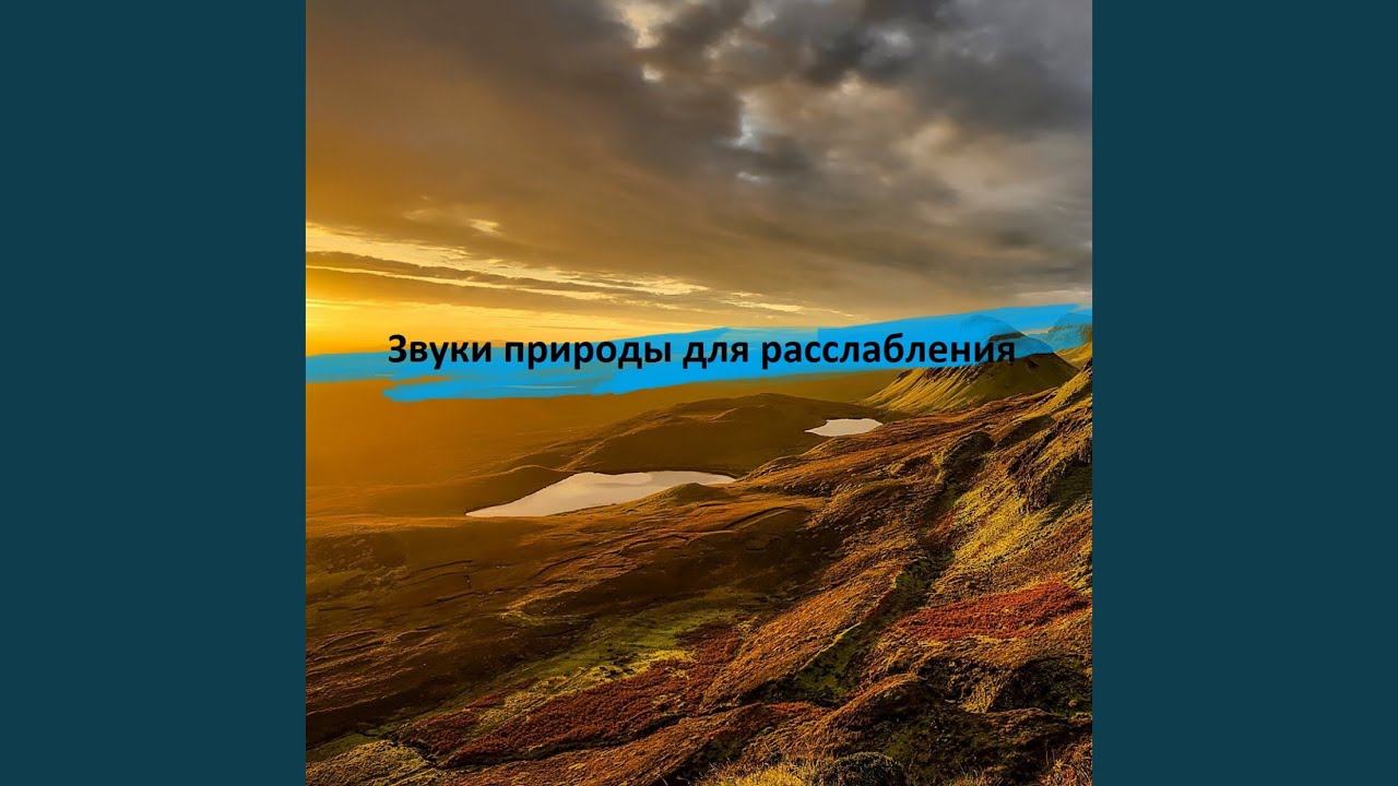 Ручей в деревне