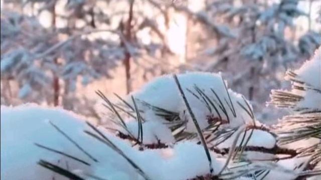 Светлый луч любви. Людмила Гетманская