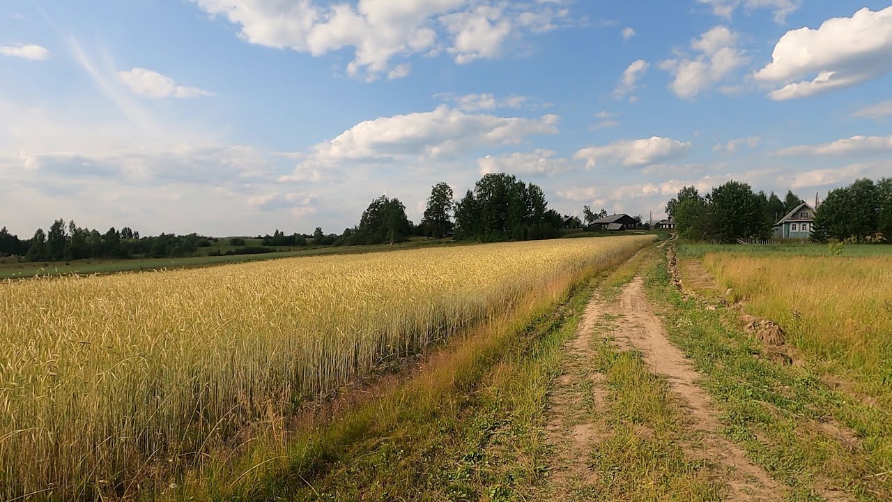 4K Russian Village Of Syrkovo. Pueblo Ruso Syrkovo 俄罗斯Syrkovo村 Деревня Сырково.