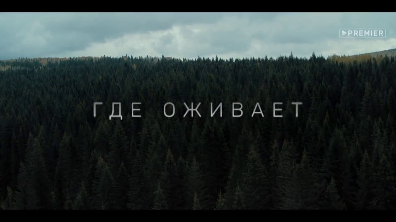 обложка для сайта тильда сериал территория