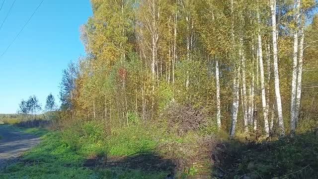 Иду на дачу неспеша, а там❄
