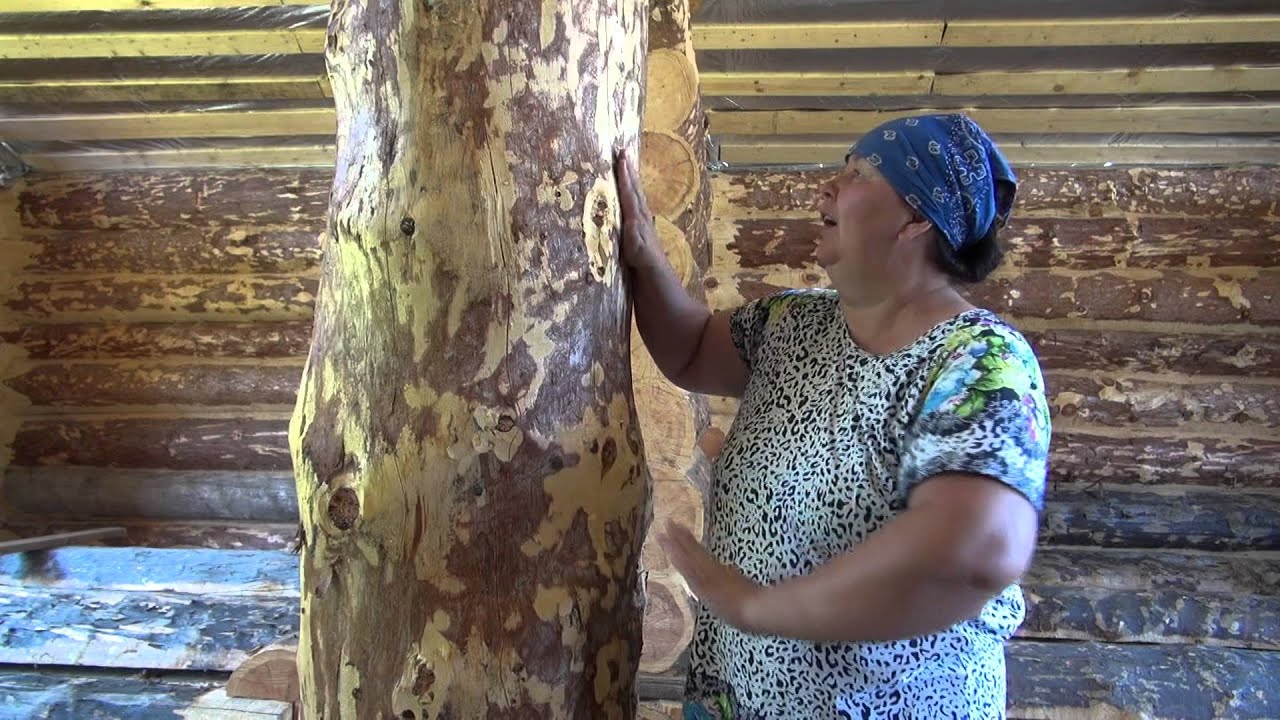 СТАРИННЫЕ ТЕХНОЛОГИИ в СТРОИТЕЛЬСТВЕ ЖИЛЬЯ в ГОРНОМ АЛТАЕ || Видеосюжет Ефименко Н.Ю., часть 2