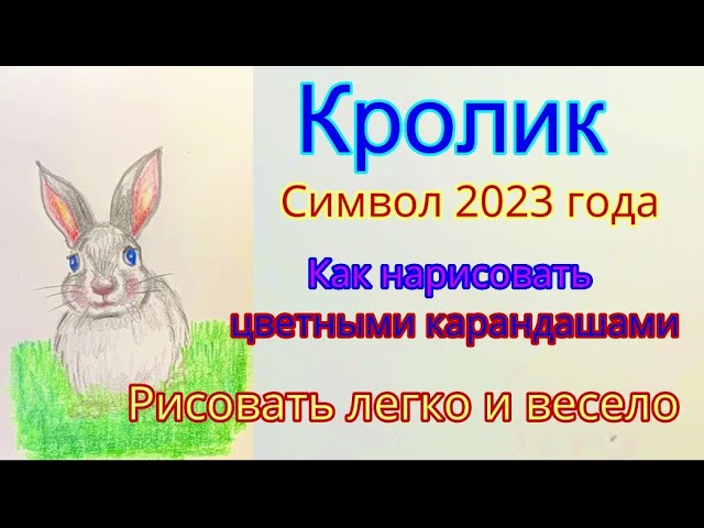 Кролик - символ следующего года. Как нарисовать цветными карандашами