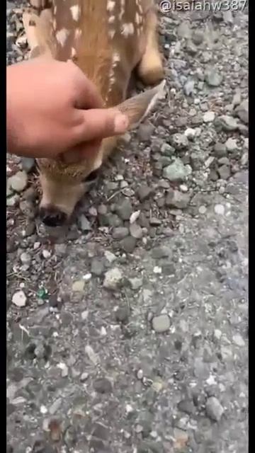 БЫВАЕТ