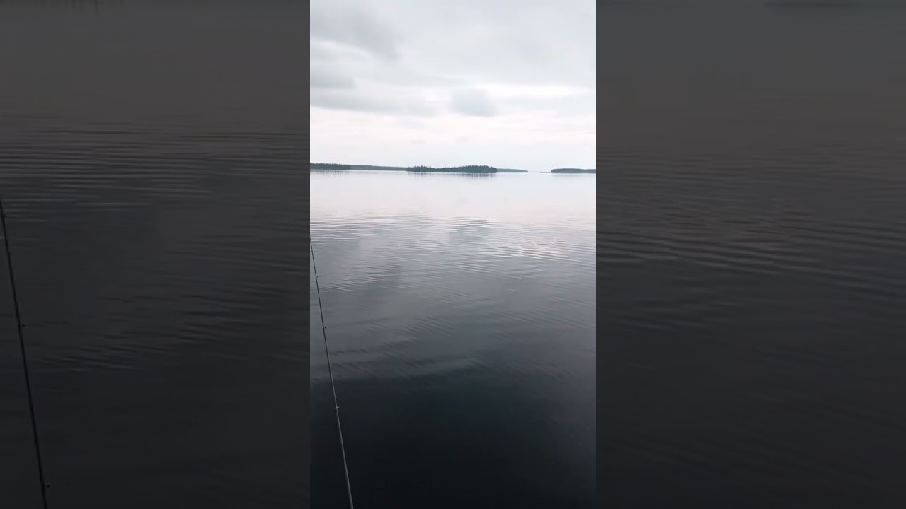 Рассекая гладь воды... Серёга на районе